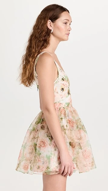 Alice + Olivia Chara Sleeveless Party Dress - Image 3