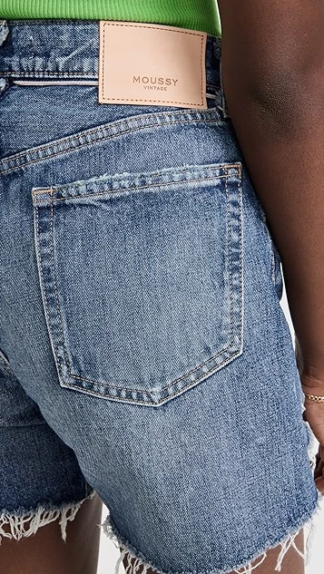 MOUSSY VINTAGE Mv Nashville Shorts - Image 5